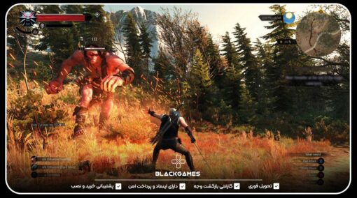 بازی Witcher 3 wild hunt