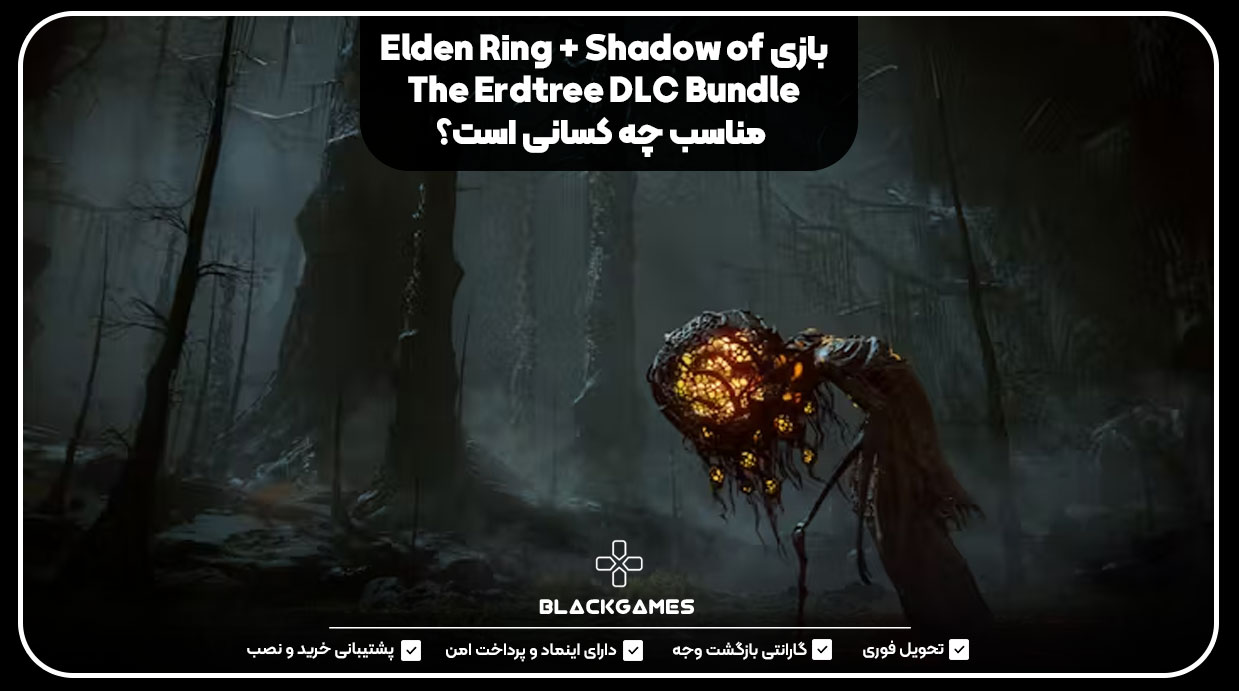بازی Elden Ring + Shadow of The Erdtree DLC Bundle مناسب چه کسانی است؟