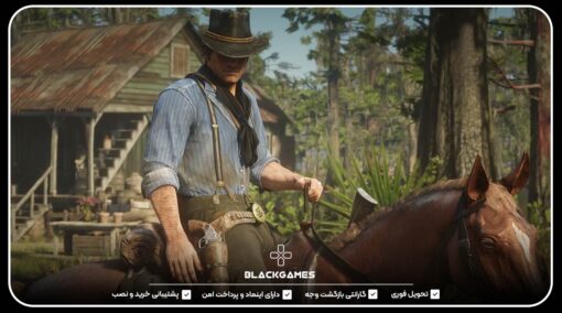 buy Red Dead Redemption 2 account