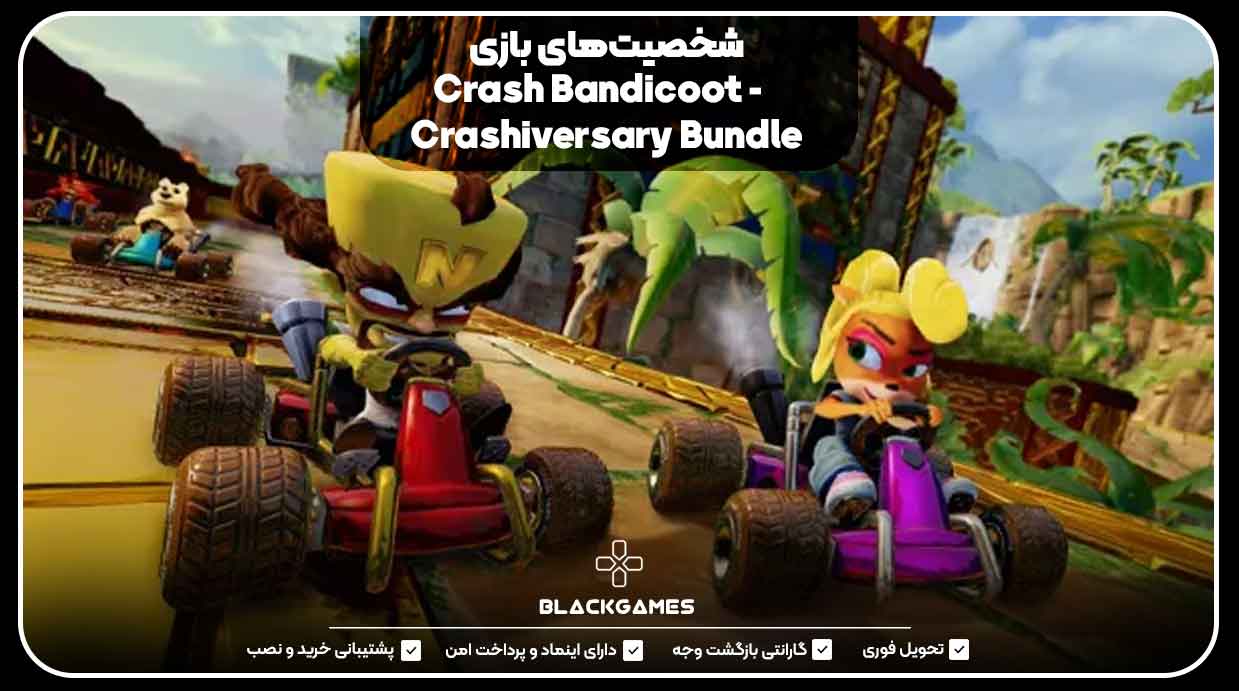 شخصیت‌های بازی Crash Bandicoot - Crashiversary Bundle